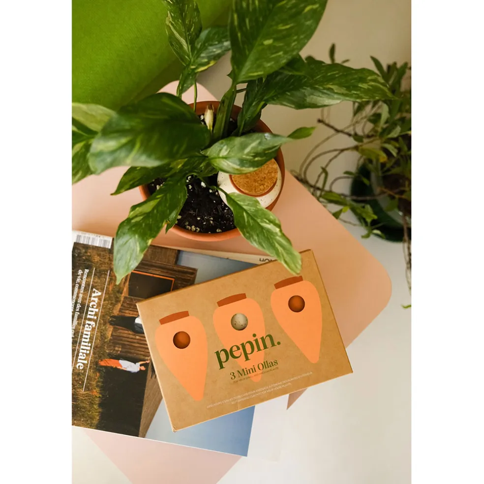 Trio mini diffuseur d'eau en argile : 2 terracotta et 1 blanc graine - Olla